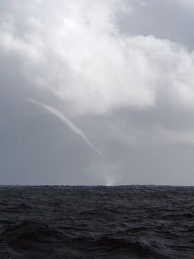 شاهقة مائية في بحر تاسمان، 29 يناير 2009.