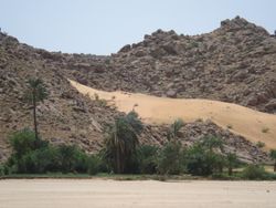 وادي (بركة) كتم