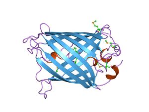 PDB 1ema EBI.jpg