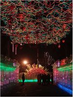 Snowicabuld (42).jpg