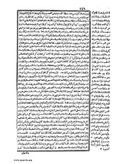 الصفحة التالية &larr;