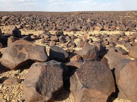 نصوص صفائية بالحرة، شرق الأردن.