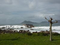 ألوان جاليقية الرمادي، الأخضر، والأزرق، پورتو دو سون