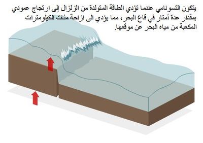 تكون التسونامي2.JPG