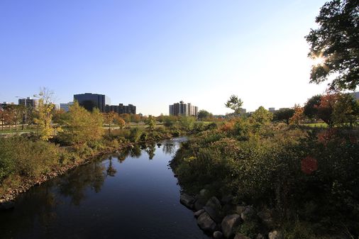 An autumn evening in Mill River Park