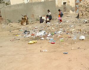Unprivileged child teaching other school children how to milk a goat in Tharparkar