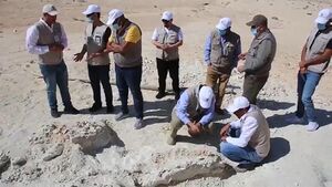 بعثة هيئة المساحة الجيولوجية السعودية أثناء اكتشاف الحوت المنقرض، الجوف، يونيو 2021.