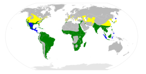 Nycticorax nycticorax map.svg