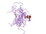 1kx6: NMR solution structure of Glucagon in a lipid-water interphase