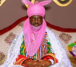 Ado-Amuni-Bayero.jpg