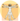 Vitruvian-Icon.png