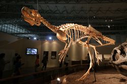 Deltadromeus in Japan.jpg