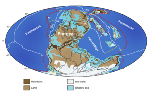 Palaeogeographic map showing Gondwana, Laurussia and Siberia now joined to form the supercontinent of Pangea. North China and South China lay to the northeast separated from Pangea by the Palaeotethys Ocean. Much of the northern hemisphere is covered by the Panthalassic Ocean.