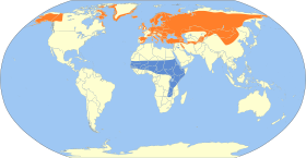 صورة معبرة عن الموضوع أبلق أوروبي