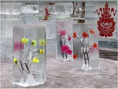 Snowicabuld (34).jpg