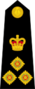 Brigadier