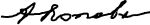 Alexander Popov signature.svg