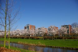 Apartment buildings in Amstelveen