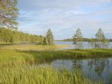Patvinsuo National Park, Lieksa