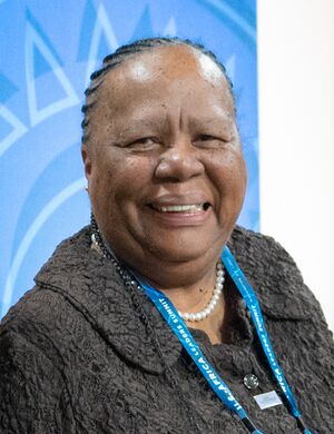 Secretary Blinken With South African Foreign Minister Pandor (52563379792) (cropped).jpg