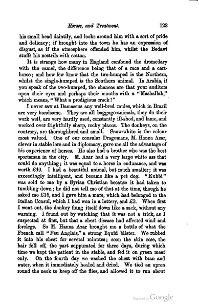 ملف:The inner life of Syria, Palestine, and the Holy Land.pdf