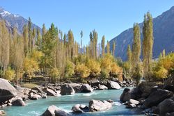 وادي ياسين, ڠيزر