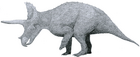 Triceratops horridus