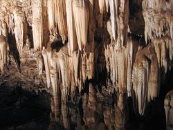 WonderCaves Stalagmites.JPG
