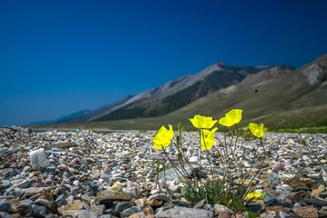 منتزه پريبايكالسكي الوطني