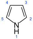 Numbered skeletal formula of pyrrole
