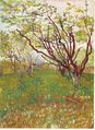 Cherry Tree, (1888)