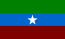 ONLF flag.svg