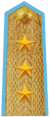 Vietnam People's Air Force Colonel General.png