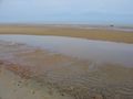 Mudflats in Brewster, Massachusetts، الولايات المتحدة، extending hundreds of yards offshore at the low tide. The line of seashells in the foreground indicates the high water mark.