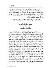 الصفحة التالية &larr;