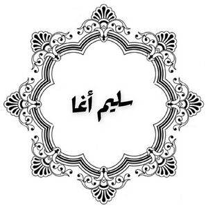 سليم داؤود الاغا.jpg