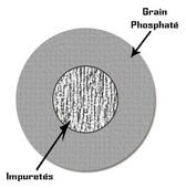 شكل الشوائب الخارجية The exo-gangue