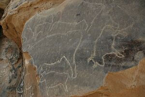 پتروگليف في قورتة لفرس النهر.