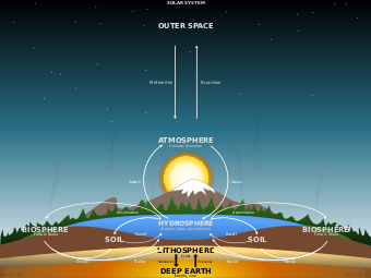 Examples of major biogeochemical processes