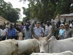 مساعدات الأمم المتحدة في رومبك