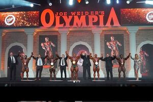 رامي السبيعي