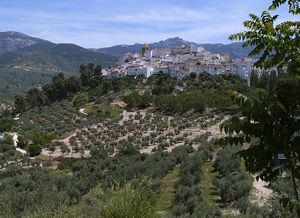 A castle-town on top of a hill
