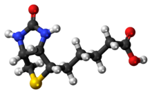 Ball-and-stick model of the Biotin molecule