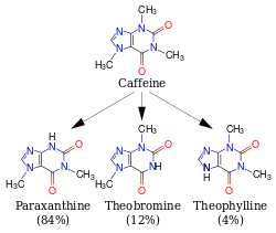 A diagram featuring 4 skeletal chemical formulas. Top (caffeine) relates to similar compounds paraxanthine, theobromine and theophylline.