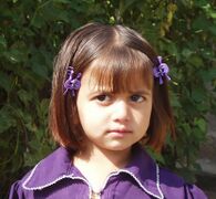 شعر بني كستنائي فاتح