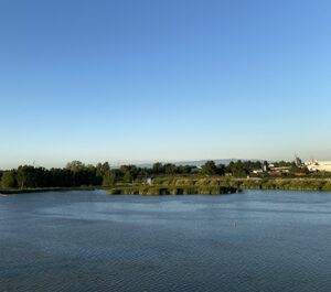 Sakarya Nehri (20220703).jpg