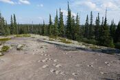 Thaidene Nene National Park Reserve, NWT, Canada.jpg