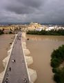 Puente romano de Córdoba (España) desde la Torre de la Calahorra.jpg