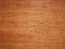 ماهوجني هندوري