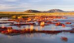 Shallow lake with red plants and hills in the background